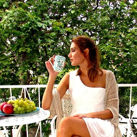 Mimoza *